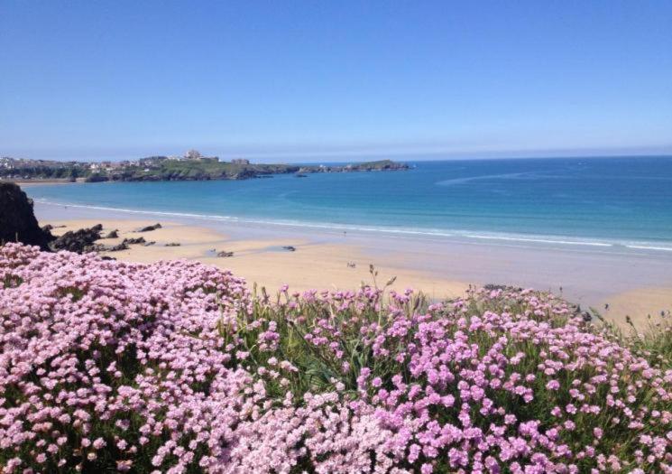 Atlantic Reach Cottages, Newquay 6 Miles, 2 Bedrooms ภายนอก รูปภาพ
